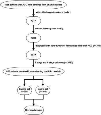 Establishment of prognostic models of adrenocortical carcinoma using machine learning and big data